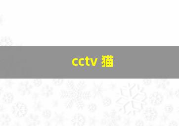 cctv 猫